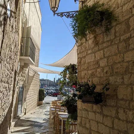 La Fenice - Splendore Trani