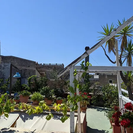 La Fenice - Splendore