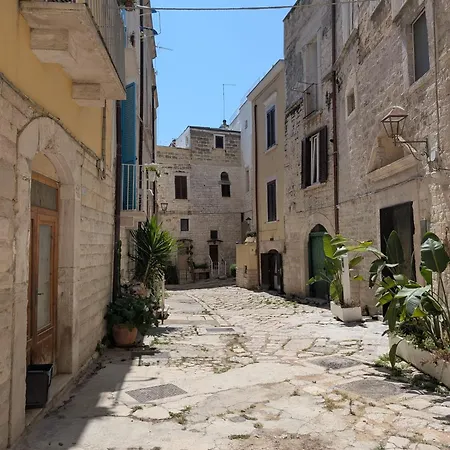 La Fenice - Splendore *