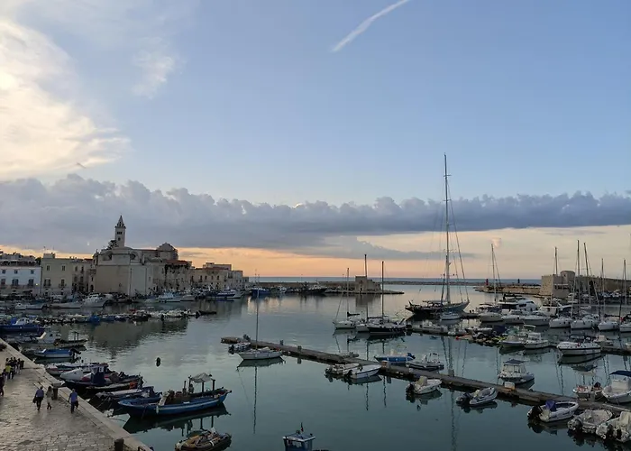 La Fenice - Splendore