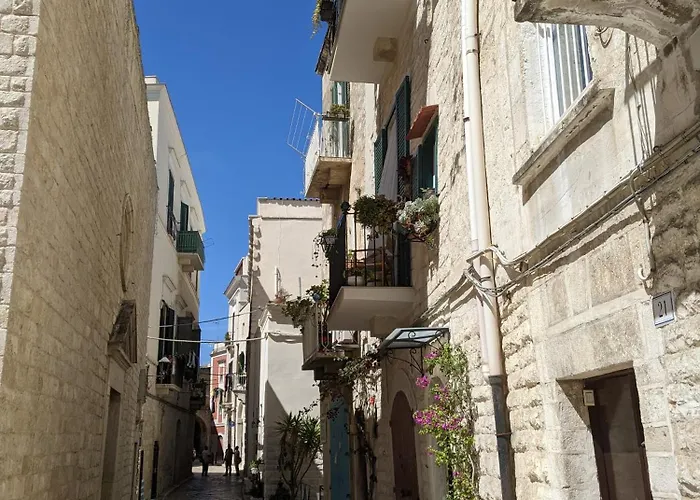 La Fenice - Splendore 公寓 特拉尼