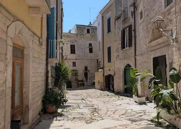 La Fenice - Splendore *