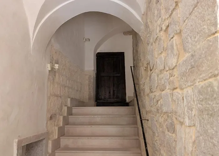 La Fenice - Splendore * 特拉尼